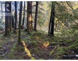 Lot B 16 Highway, Port Clements, BC V0T1R0 Photo 3