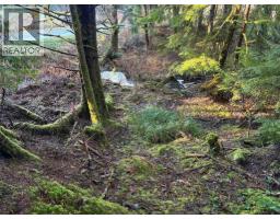 Lot B 16 Highway, Port Clements, BC V0T1R0 Photo 2