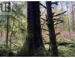 Lot B 16 Highway, Port Clements, BC V0T1R0 Photo 5