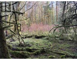 Lot B 16 Highway, Port Clements, BC V0T1R0 Photo 4