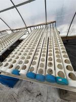 27090 Pth 2 Highway, Grey Rm, MB R0G0N0 Photo 4