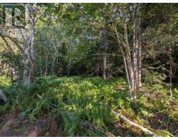 Glen Albert Drive, Big Pond, NS B1J1R6 Photo 2