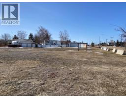 101 Fielding Place, Hanna, AB T0J1P0 Photo 5