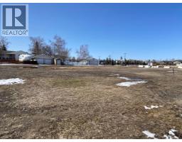 102 Fielding Place, Hanna, AB T0J1P0 Photo 3