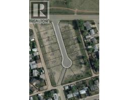 108 Fielding Place, Hanna, AB T0J1P0 Photo 2