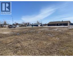 101 Fielding Place, Hanna, AB T0J1P0 Photo 3