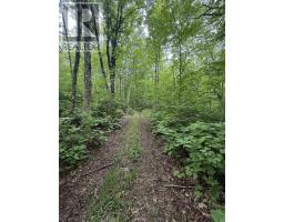 Lot Pid 20098885 Truro Road, New Annan, NS B0K1V0 Photo 5