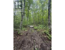 Lot Pid 20098885 Truro Road, New Annan, NS B0K1V0 Photo 4