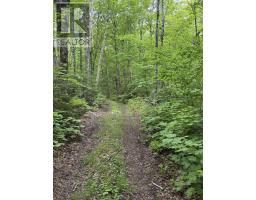 Lot Pid 20098885 Truro Road, New Annan, NS B0K1V0 Photo 3