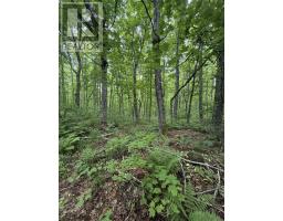 Lot Pid 20098885 Truro Road, New Annan, NS B0K1V0 Photo 2