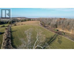 461 Concession 11 E, Trent Hills, ON K0L1L0 Photo 5