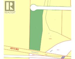 Lot 11 Range Road 172, High Prairie, AB T0G1E0 Photo 2