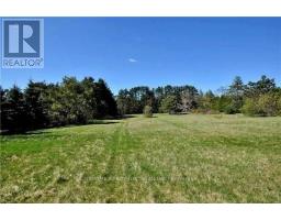 Bedroom 2 - 4192 Vivian Road, Whitchurchstouffville, ON L0G1E0 Photo 4