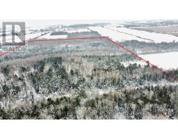 15672 Warden Avenue, Whitchurchstouffville, ON L4A2V6 Photo 4