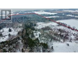 15672 Warden Avenue, Whitchurchstouffville, ON L4A2V6 Photo 3