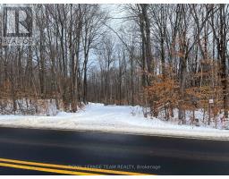 01 Siberia Road, Madawaska Valley, ON K0J1B0 Photo 3
