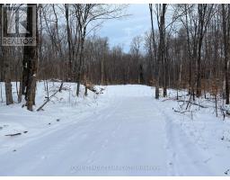 01 Siberia Road, Madawaska Valley, ON K0J1B0 Photo 5