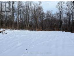 01 Siberia Road, Madawaska Valley, ON K0J1B0 Photo 4