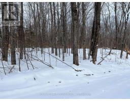 01 Siberia Road, Madawaska Valley, ON K0J1B0 Photo 2