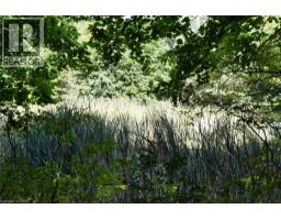 1966 Concession 2 Road W, Lynden, ON L0R1T0 Photo 3