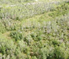 Dining room - 2 12 Road N, Roseau River, MB R0A1P0 Photo 2