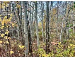 Lot A Maple Street, Waterville, NS B0P1V0 Photo 3