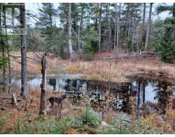 1678 Locksley Road, Laurentian Valley, ON K8A6W5 Photo 5