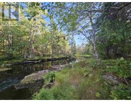 Hornes Road, Albert Bridge, NS B1K2Y9 Photo 4