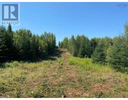 Lot 22 3 226 Brookville Branch Road, Bridgeville, NS B2H5C7 Photo 2