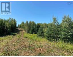 Lot 22 3 226 Brookville Branch Road, Bridgeville, NS B2H5C7 Photo 3