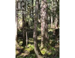 Lot B Porters Road, Pender Harbour, BC V0N2H1 Photo 2
