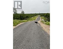 11 Lakeshore Drive, Aylesford Lake, NS B0P1C0 Photo 4