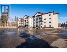 Laundry room - 106 5205 Woodland Road, Innisfail, AB T4G0B2 Photo 5