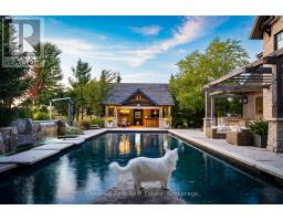 Cold room - 120 Timber Leif Ridge, Blue Mountains, ON N0H2P0 Photo 3