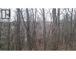 0 Plank Road, Vienna, ON N0J1Z0 Photo 5