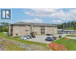 Laundry room - 130 Arlington Crescent Unit 214, Saint John, NB E2K0J1 Photo 2