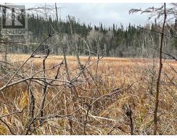 Pcl 7576 0 N, Dryden, ON P0V1P0 Photo 4