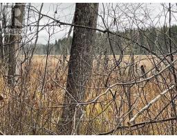 Pcl 7576 N A N, Dryden, ON P0V1P0 Photo 5