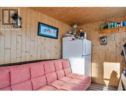 Sunroom - 241 Avery Point Road, Kawartha Lakes, ON L0K1W0 Photo 5