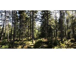 Acreage No 101 Highway, Ardoise, NS B0N1L0 Photo 5