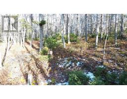 Lot 15 West Bay Highway, Roberta, NS B0E3B0 Photo 4