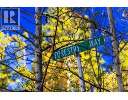 Bedroom - 231031 Forestry Way, Bragg Creek, AB T0L0K0 Photo 2