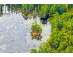 1144 A South Lake Morrison Road, Gravenhurst, ON P0E1G0 Photo 5