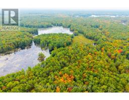 1144 A South Lake Morrison Road, Gravenhurst, ON P0E1G0 Photo 4