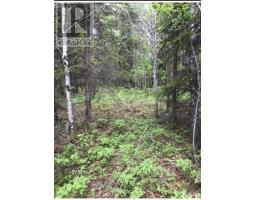 Pcl 4952 N A, Cochrane, ON P0K1G0 Photo 3