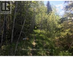 Pcl 4952 N A, Cochrane, ON P0K1G0 Photo 4