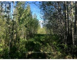 Pcl 4952 N A, Cochrane, ON P0K1G0 Photo 5