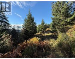 Lot 1 South Rd, Gabriola Island, BC V0R1X6 Photo 3