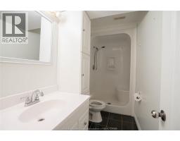 Family room - 441 Railway Avenue, Belle River, ON N0R1A0 Photo 5