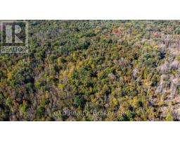 1 4 Lt 3 Sideroad 3, Georgian Bluffs, ON N0H2N0 Photo 5